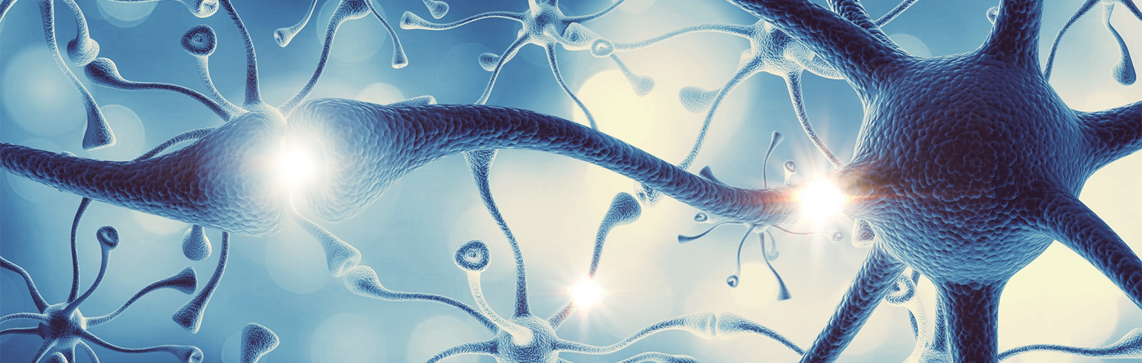 Epilessia: ecco come il cervello tenta di difendersi