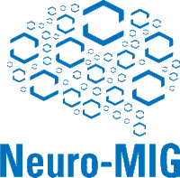 Neuro-MIG NETWORK