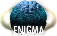 ENIGMA - Global network for neuroimaging in ataxias